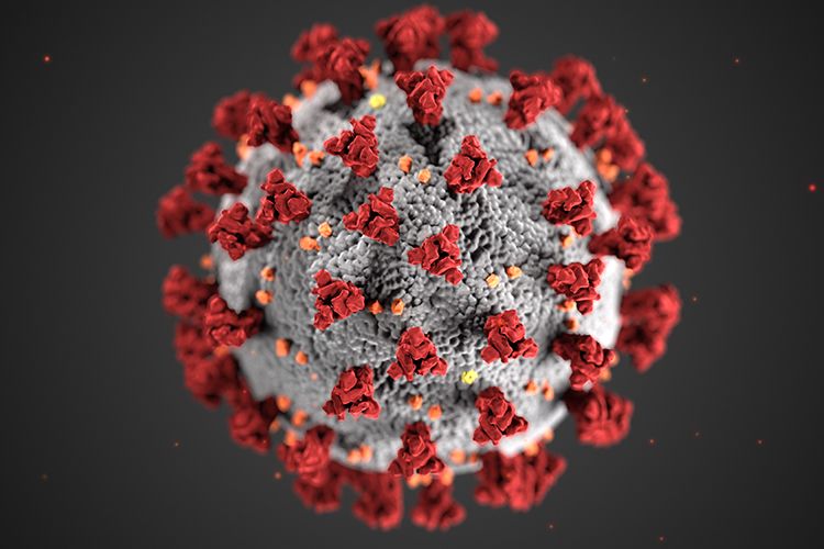 WARNING: Up to 45 percent of SARS-COV-2 infection may be asymptomatic